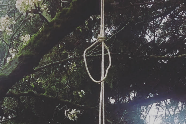 A noose on a tree