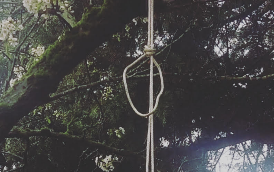 A noose on a tree